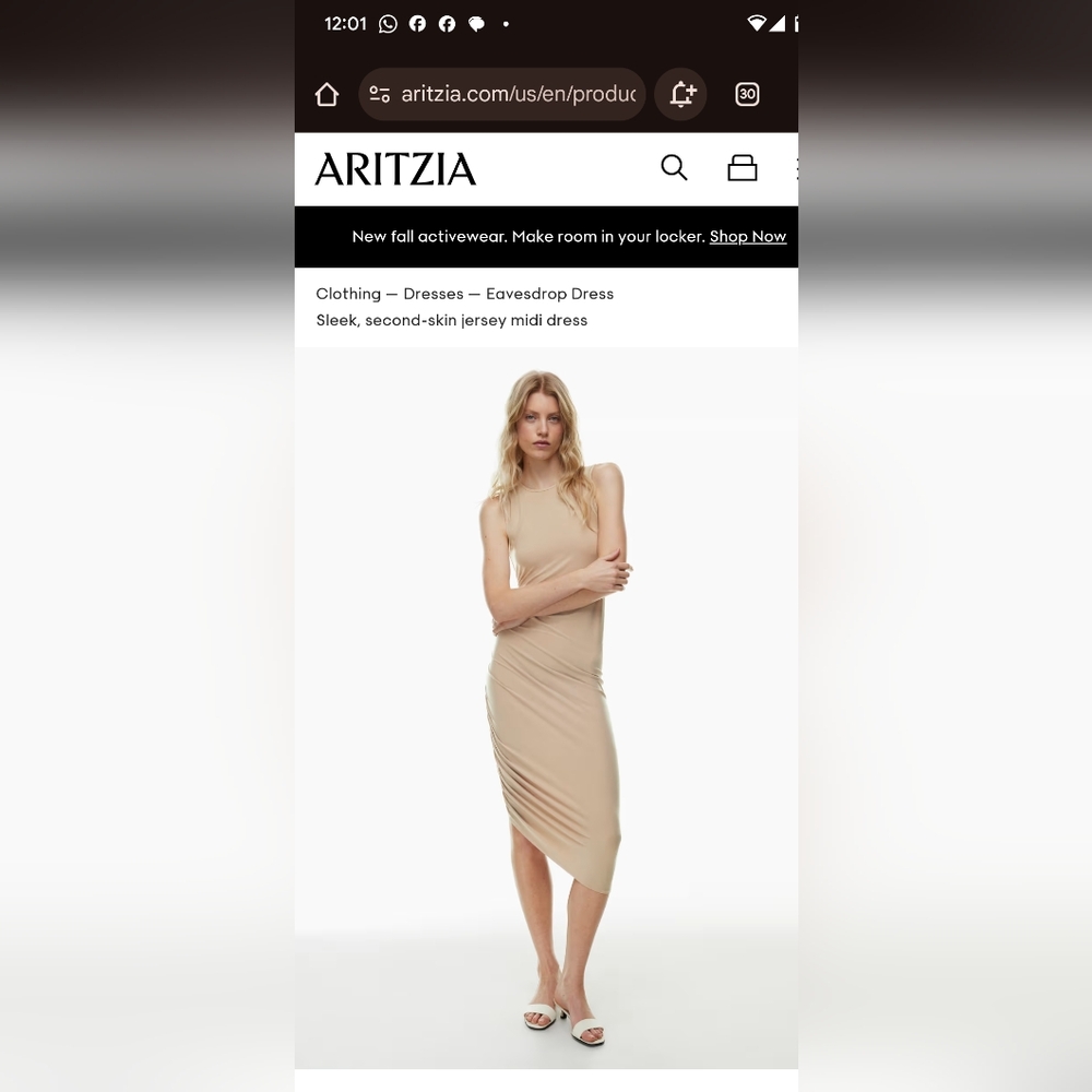 Aritzia Wilfred Eavesdrop Dress